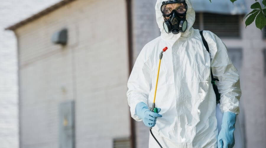 Professional pest control services in Melbourne